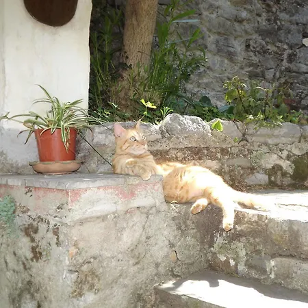 New Hotel Genio Porto Venere 2*