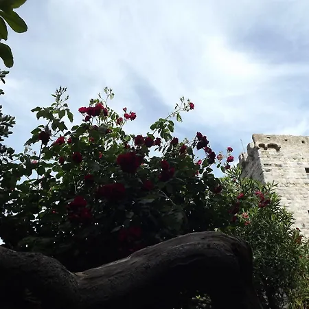 New Hotel Genio Porto Venere Hotel