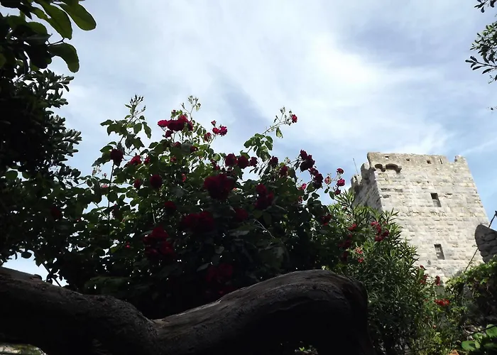 New Hotel Genio Porto Venere Hotel